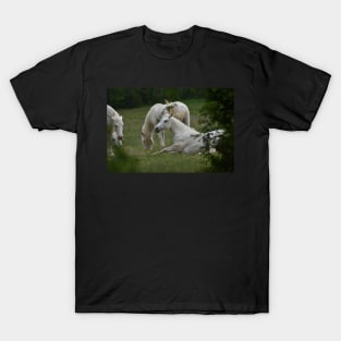 Wild Horses T-Shirt